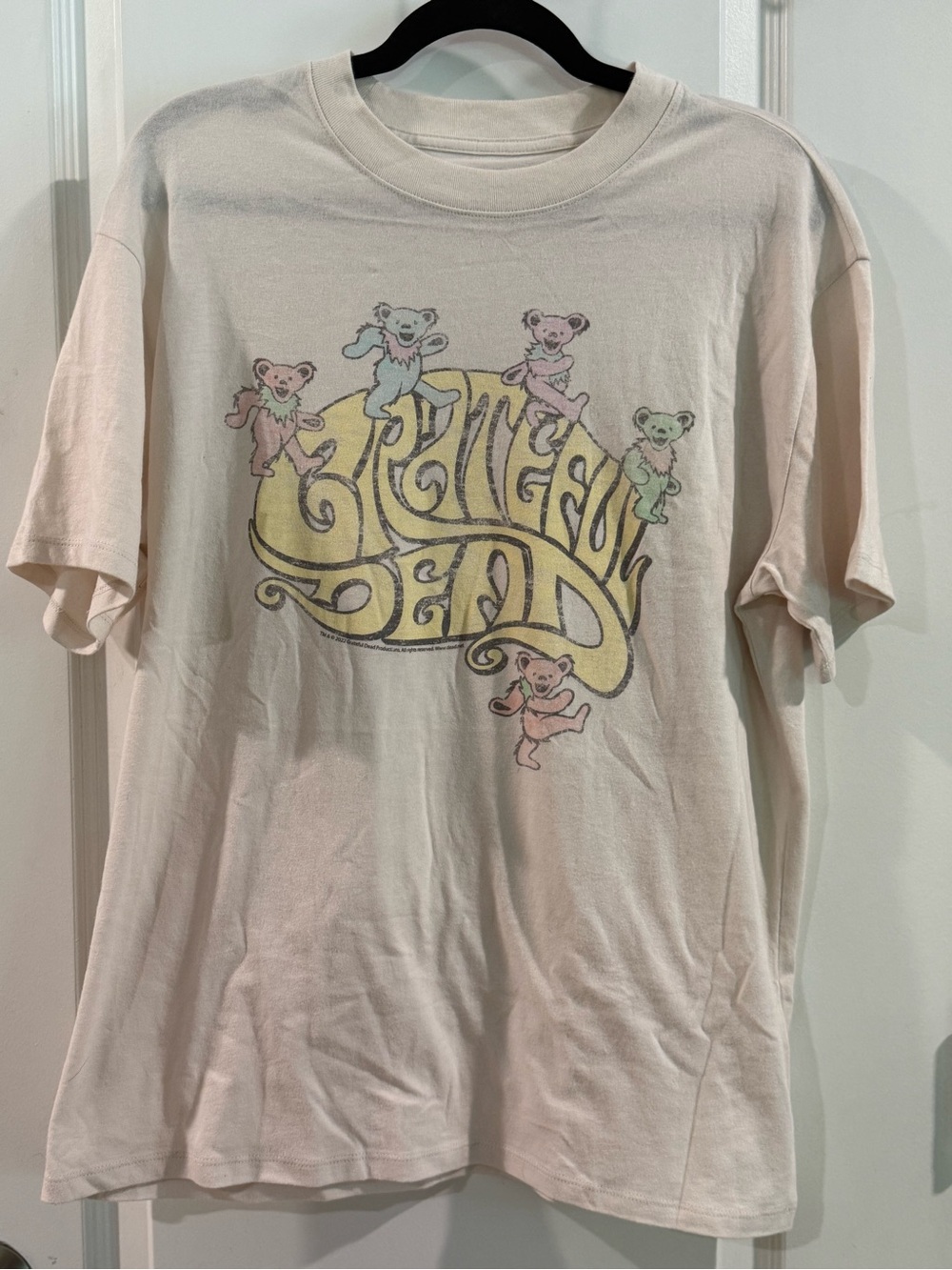Abercrombie & Fitch Grateful Dead  Beige Graphic Tee with Pastel Bears